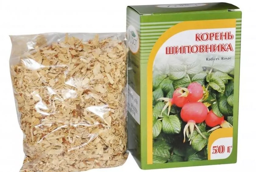 Аптечный корень шиповника