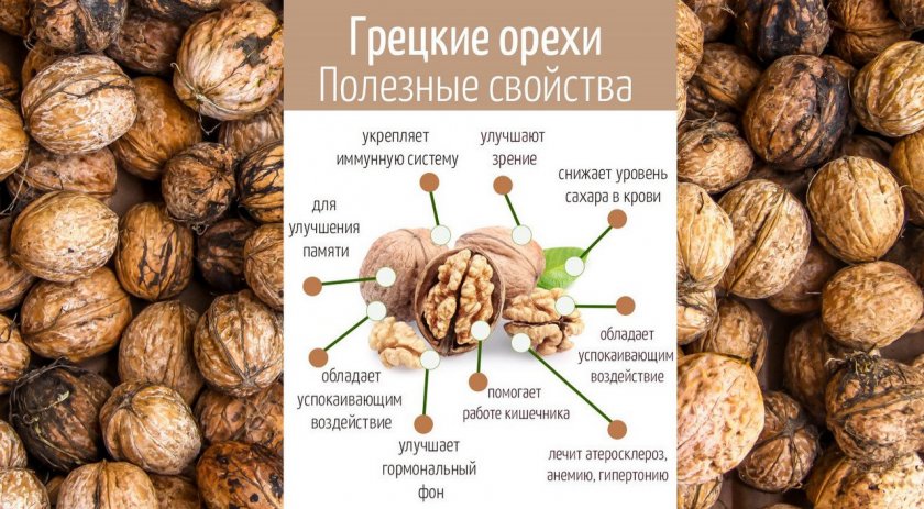Польза грецких орехов