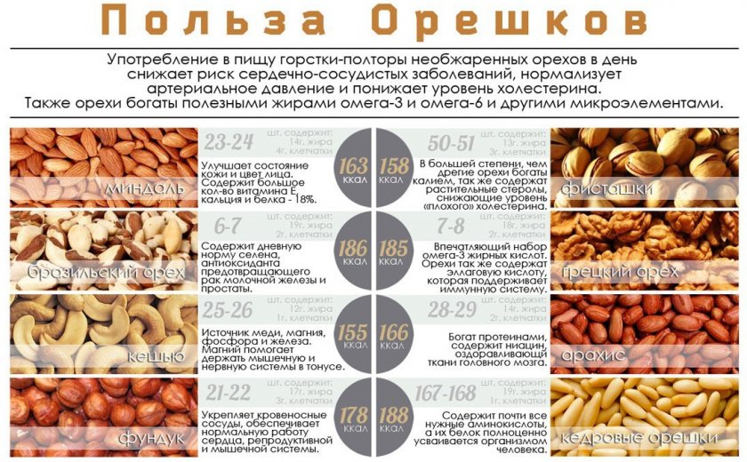 Польза орехов
