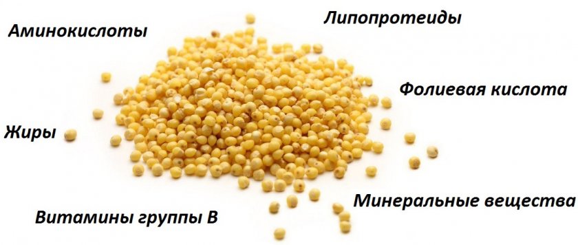 Пищевая ценность пшена