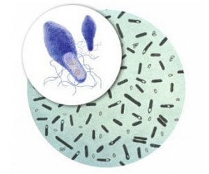 Микроб Clostridium botullini