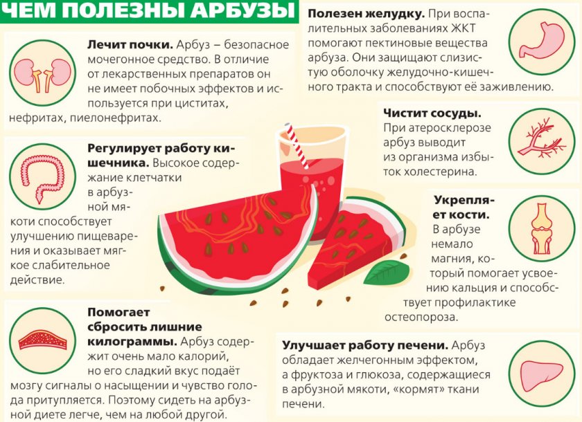 Полезные свойства арбуза
