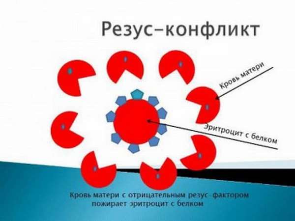 Почему происходит конфликт резус факторов