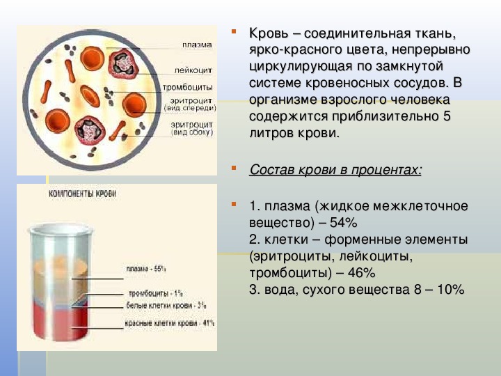 Плазма крови презентация