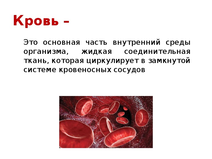 Много крови в организме