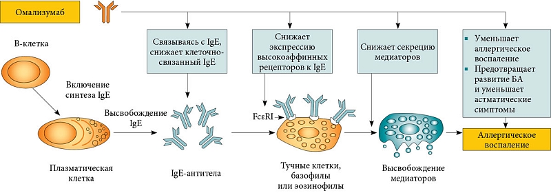 омализумаб