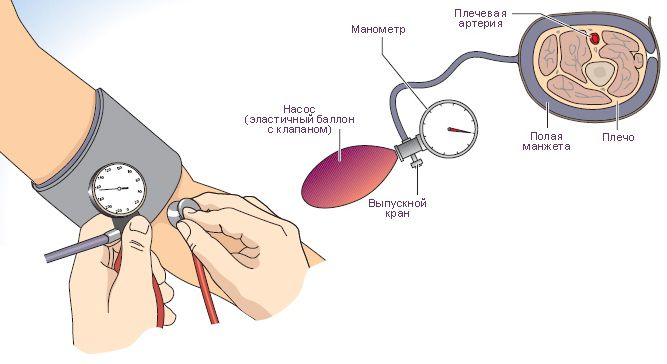 Измерение АД