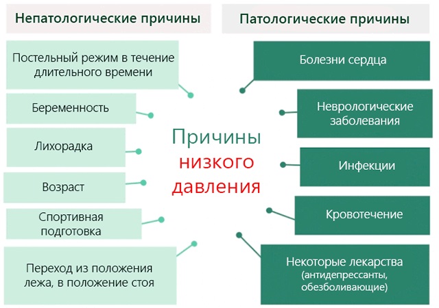 Пониженное давление. Симптомы, причины и лечение с высоким пульсом. Препараты и народные средства