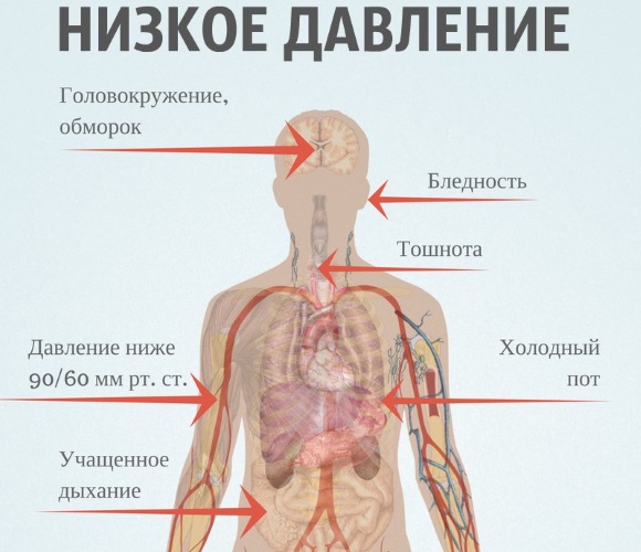 Давление человека. Норма по возрасту, весу, пульсу: таблица. Как повысить, понизить давление