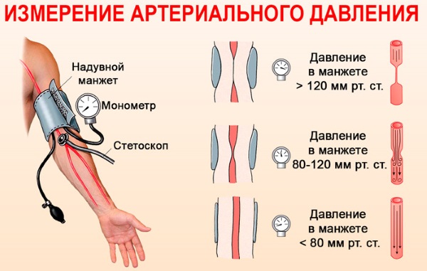 Давление человека. Норма по возрасту, весу, пульсу: таблица. Как повысить, понизить давление