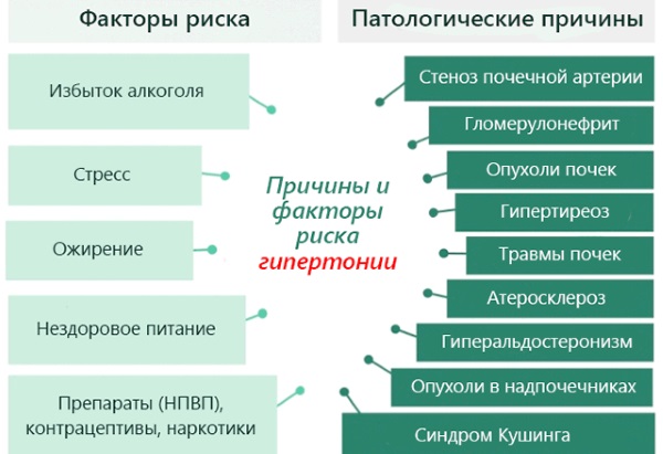 Давление человека. Норма по возрасту, весу, пульсу: таблица. Как повысить, понизить давление