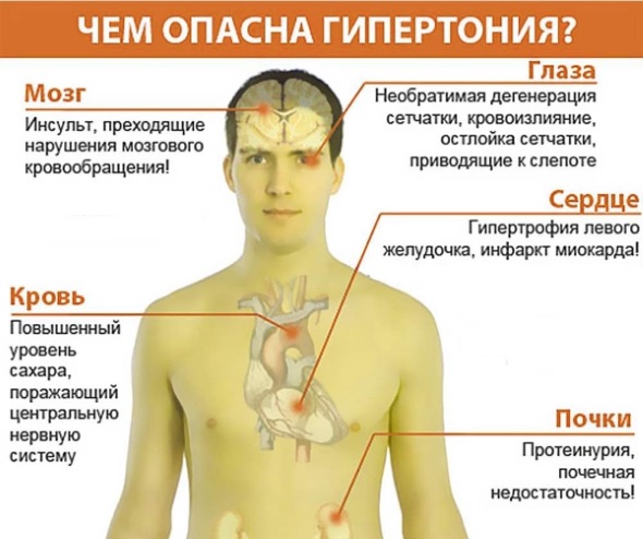 Давление человека. Норма по возрасту, весу, пульсу: таблица. Как повысить, понизить давление