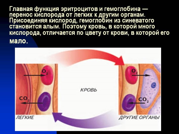 Норма гемоглобина у детей по возрасту, Таблица. Причины низкого гемоглобина, питание, препараты