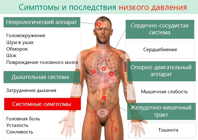 С-реактивный белок. Что это такое, норма по возрасту. Что значит повышен, отрицательный, положительный, ультрачувствительный