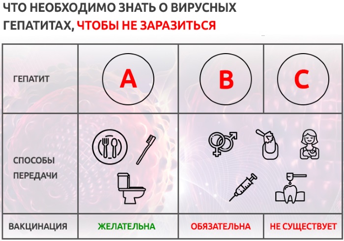 Корни шиповника. Лечебные свойства и противопоказания, вред, рецепты