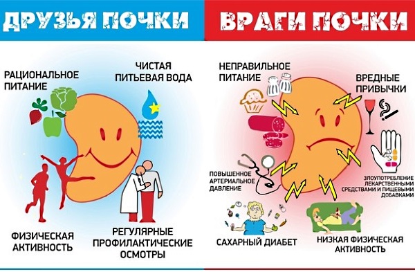 Пиелонефрит у ребенка. Симптомы, лечение. Антибиотики, народные средства