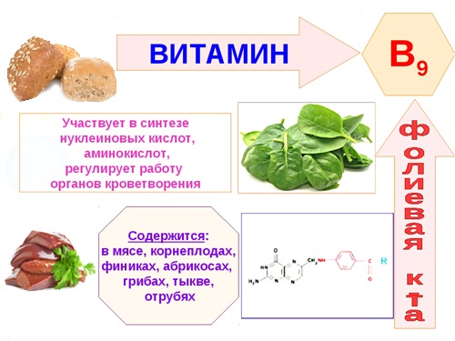 Корни шиповника. Лечебные свойства и противопоказания, вред, рецепты