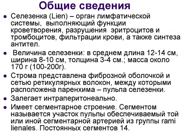 Повышенные лимфоциты в крови у женщин. Причины, норма по возрасту, лечение