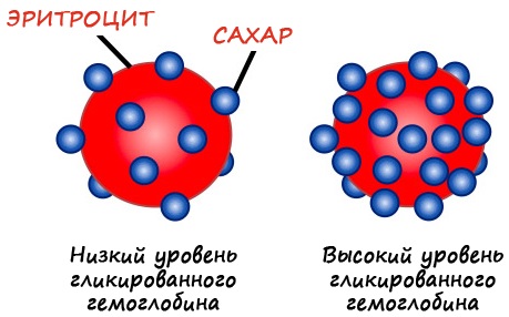 Гликозилированный гемоглобин. Что это такое, норма, расшифровка, как понизить