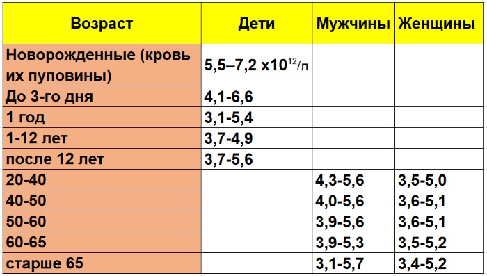 RBC в анализе крови. Что это такое, понижен, повышен, норма у детей, женщин, мужчин