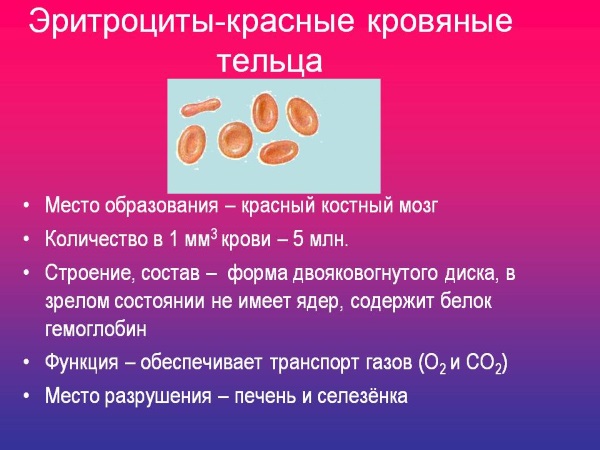 Эритроциты в моче у ребенка. Что это значит, норма, повышенные, неизменные