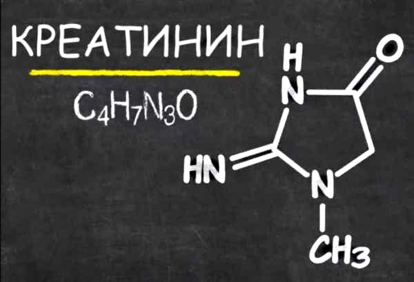 Повышение креатинина в крови. Причины, симптомы, лечение у женщин, мужчин, детей