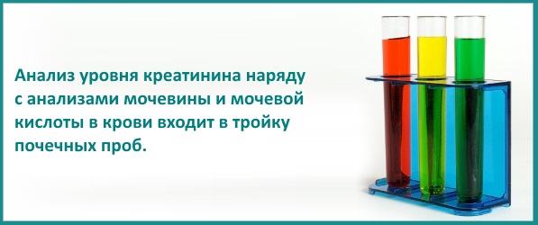 Повышение креатинина в крови. Причины, симптомы, лечение у женщин, мужчин, детей