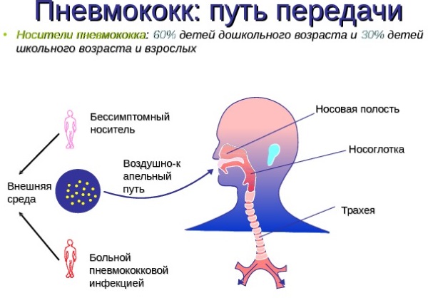 Бактериальная инфекция у детей. Симптомы, лечение желудочной, кишечной