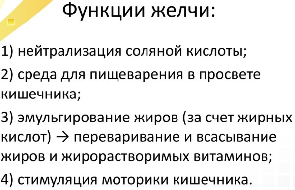 Застой желчи. Симптомы и лечение у взрослых народными средствами, препаратами