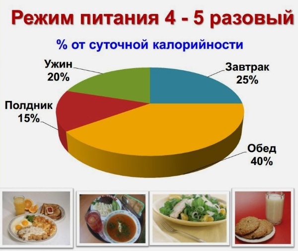 Мочевой пузырь. Болезни, симптомы, строение, признаки заболеваний, лечение