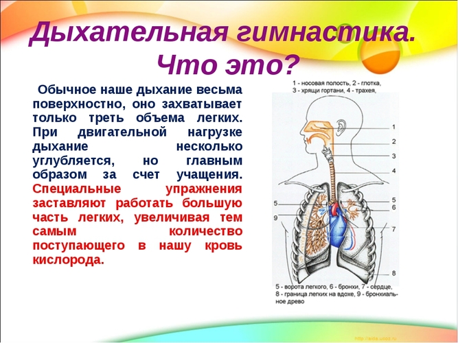 Вегето-сосудистая дистония. Симптомы, лечение, обострение у взрослых