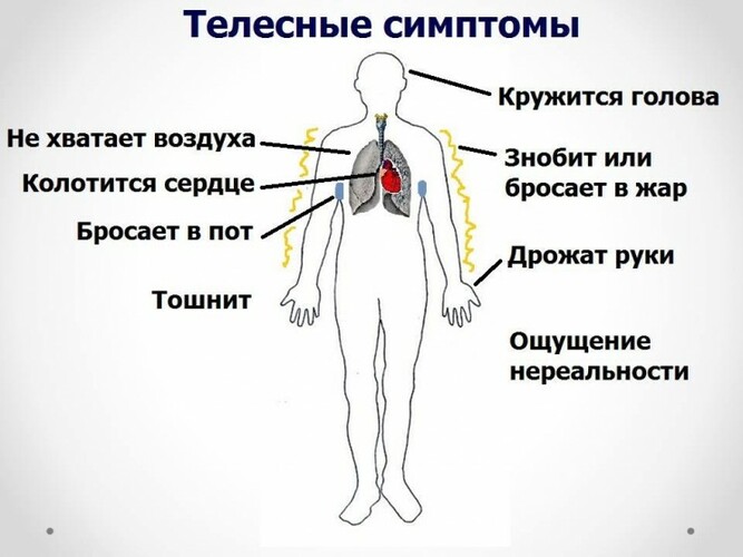 Вегето-сосудистая дистония. Симптомы, лечение, обострение у взрослых