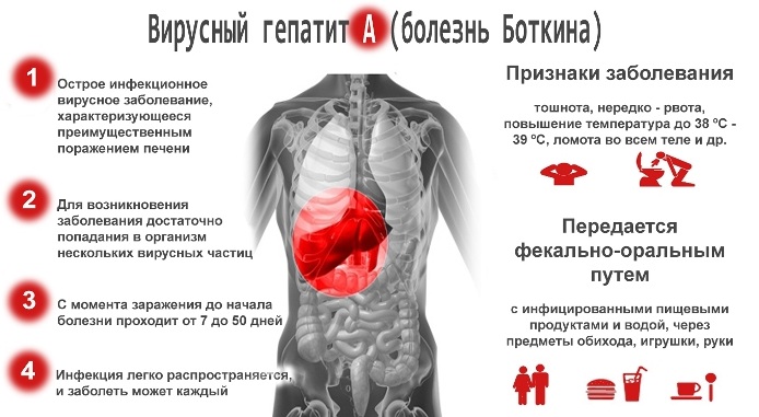 Гепатит А. Как передается от человека к человеку, чем опасен, симптомы и лечение