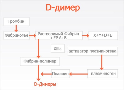 Д-димер (D-димер). Норма у женщин по возрасту, таблица, что значит выше, ниже нормы у взрослого