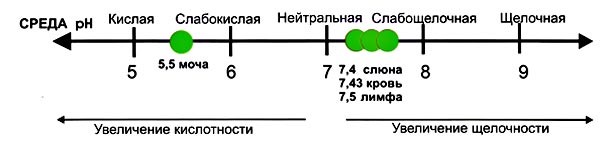 Среда pH