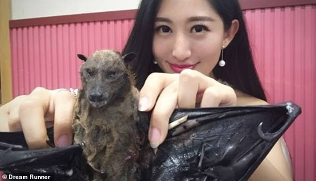 Wang Mengyun is seen displaying a bat which she is about to eat in an old episode of her travel programme. The video, filmed in 2016, has drawn widespread criticism to her amid an outbreak of the novel coronavirus which has killed at least 106 and infected some 4,590