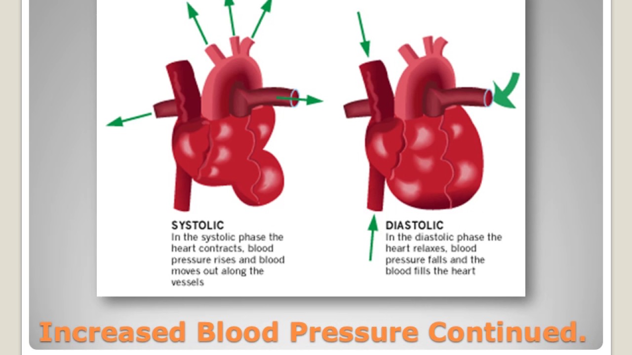 Систолическое давление это. Систолическое и диастолическое давление. Давление в сердце в систолу и диастолу. Систолическое и диастолическое давление в сердце. Формирование систолического и диастолического ад.