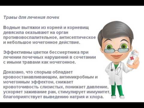 Как лечить почки народными средствами - YouTube