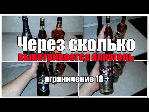 Через сколько часов после приема алкоголя можно садиться за руль?