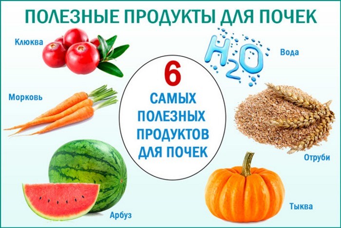 полезные продукты для почек