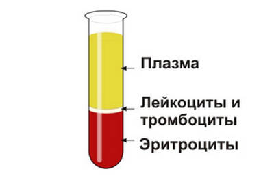 норма гематокрита