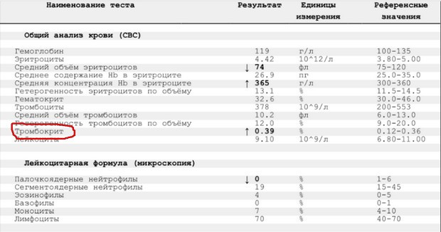 тромбокрит в крови