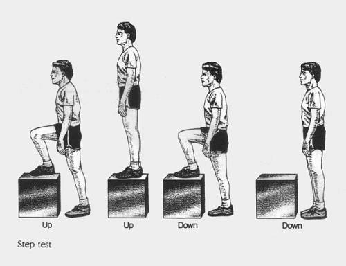 Степ-тест