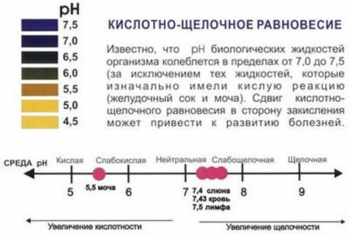 Кислотно-щелочное равновесие