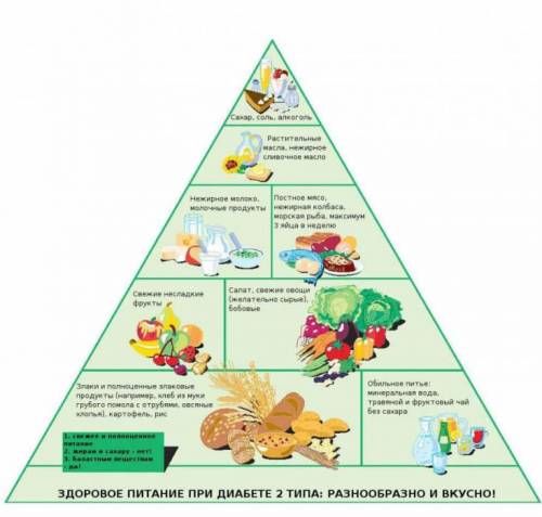 Пирамида питания