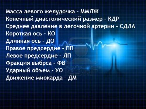 Основные сокращения, которые указывают в протоколе УЗИ