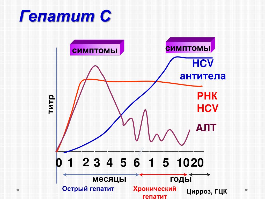 Антитела к вирусному гепатиту с. Динамика появления антител к гепатиту с. Динамика антител при гепатите в. Антитела к вирусному гепатиту в. Антитела на маркеры гепатитов.