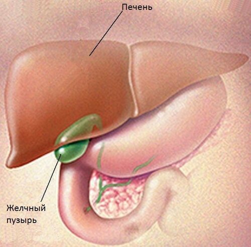 Лечение застоя желчи