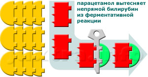 По крайней мере 20% ле­карст­венных препаратов, в их числе парацетамол, используют для своего метаболизма те же ферментные системы, что и непрямой билирубин