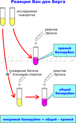 реакция Ван ден Берга